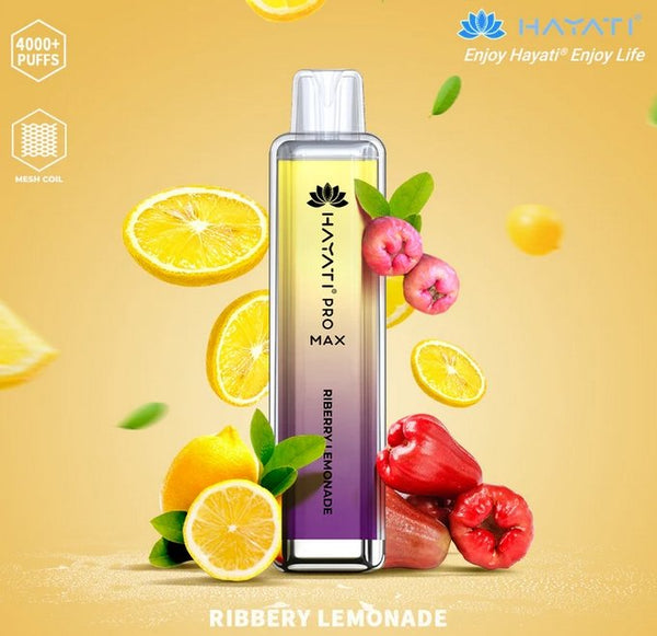 Hayati Pro Max 4000 Puffs Disposable Vape Device
