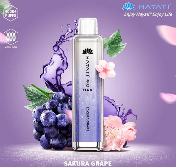 Hayati Pro Max 4000 Puffs Disposable Vape Device