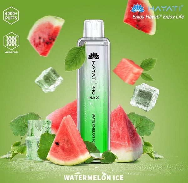 Hayati Pro Max 4000 Puffs Disposable Vape Device